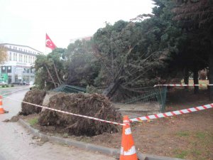 Lodos Şehri Birbirine Kattı