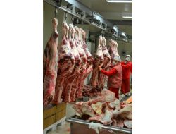 Et Fiyatlarını Kasaplık İthal Hayvan Düşürür