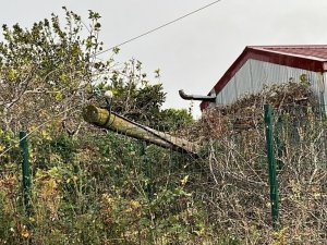 Çatının Uçma Anı Kamerada