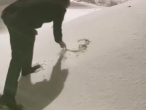 Düzce’de Kar Yağışı Başladı