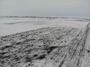 Kars’ta Göçerlerin Kar Üzerinde Zorlu Yolculuğu