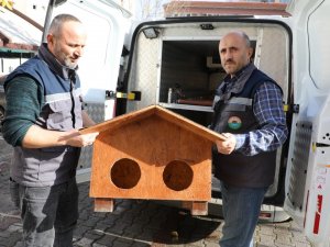 Kedi Evi Projesi İ̇lkadım’da Hayat Buldu