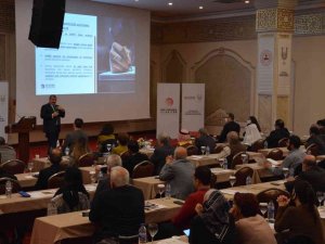 Şanlıurfa’da Stk’lara Rehberlik Semineri Verildi