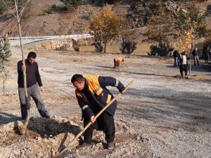 Yangın Bölgesinde Mesire Alanı Oluşturuldu