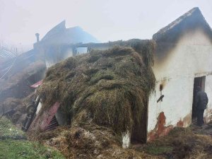 Ordu’da Ahır Yangınında 3 Hayvan Telef Oldu