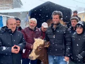 Yangında Hayvanları Telef Olan Çiftçiye 10 Büyükbaş Hibe Edildi