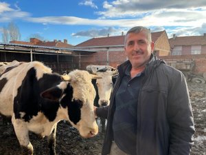 Üreticiler Çiğ Süte Gelen Fiyat Artışından Memnun