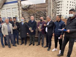 Midyat’ta Çiftçilere 48 Bin 805 Fıstık-badem Fidanı Dağıtıldı