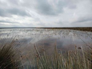 Vali Dağlı: “Su Potansiyelimizi Etkili Ve Verimli Kullanmalıyız"