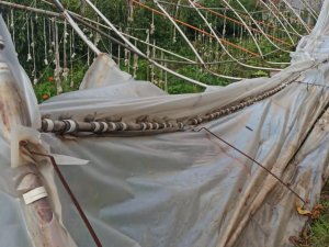 Hakkari’de Rüzgar Seralara Zarar Verdi
