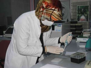 Dicle Üniversitesi Pandemiye Rağmen Yılda 25 Kemik İliği Nakli Gerçekleştirdi