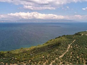 Yeniden Temiz Bir Marmara İçin “Deniz Çalıştayı”