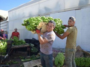 Batı Akdeniz İhracatı 2 Milyar 285 Milyon Dolar Oldu