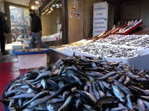 Hamsi Azaldı, Fiyat Yükselişe Geçti