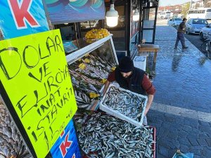 İ̇stavritin Kilosunu 15 Liraya Düşürdü