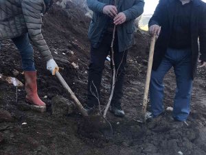 Asad’dan Fidan Dikim Etkinliği