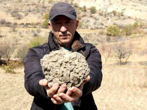 Tut’ta 10 Kilo Ağırlığında 65 Milyon Yıllık Deniz Mercanı Bulundu
