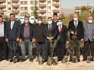 Karaman’da Çiftçilere Fidan Dağıtıldı