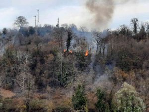 Sinop’ta Orman Yangını
