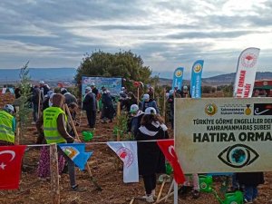 Yeşil Gözüm Hatıra Ormanı Açıldı