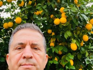 Üretici Limona Desteği Yeterli Bulmadı