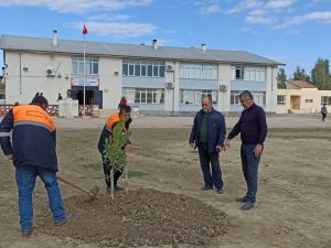 Kozan’da Okul Bahçesine Fidan Dikildi Peyzaj Çalışması Yapıldı