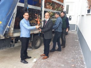 Samsun’un Yeni Meyvesi: Aronya