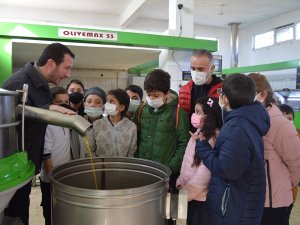 Öğrencilere Zeytinyağı Sevgisi Aşılandı
