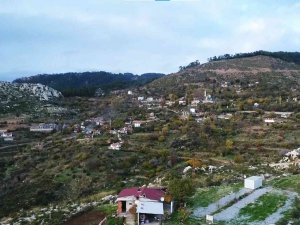 Zeytinköy’ün Karası Yeşile Büründü