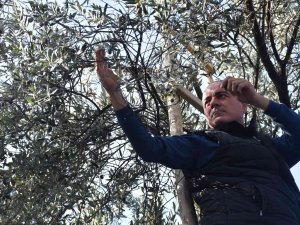 Sertaslan’dan Marmarabirlik’e Fiyat Güncellemesi Çağrısı