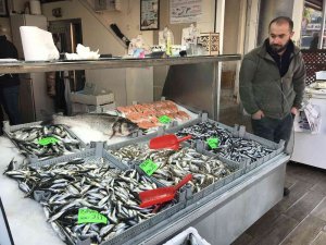 Hamsi Tezgahlarda 40 Tl’yi Gördü