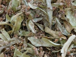 Kış Aylarında Bitki Çayları İlgi Görüyor