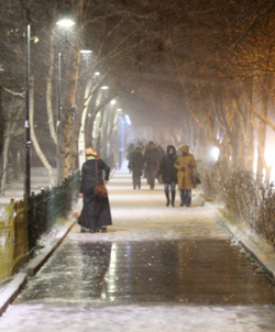Erzurum’da Kar Yağışı Hayatı Felç Etti