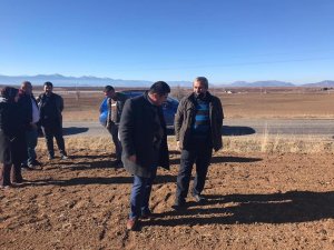 Konya’da Geç Ekime Bağlı Hububat Ekili Tarım Alanlarında Çimlenme Başladı