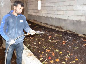 Siverekli Genç Girişimci, Solucanlarla Organik Gübre Üretiyor