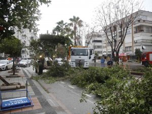 Büyükşehir, Fırtına Sebebiyle Kent Genelinde Teyakkuza Geçti