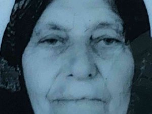 Ekmek Aracının Çarptığı Yaşlı Kadın Hayatını Kaybetti