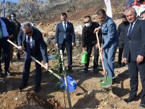 Vali Su, Yanan Orman Alanlarında Fidan Dikti