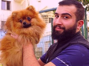 Profesyonel Köpek Eğitmeninden 10 Adımda Köpek Eğitimi