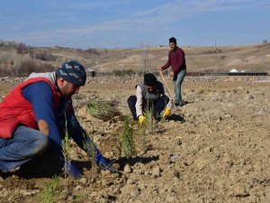 Ahlat Lavanta Parkı Projesi Fotoğraf Turizmine Katkı Sunacak