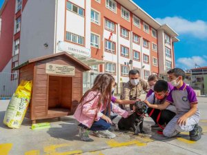 Her Okula Bir Sokak Köpeği Projesi 25 Okula Ulaştı