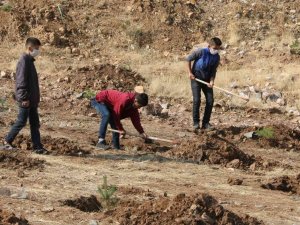 Yahyalılı Gençler Fidanları Toprakla Buluşturdu