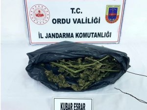 Jandarmadan Uyuşturucu Operasyonu: 4 Gözaltı