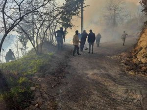 Sürmene'de Bahçe Temizliği Orman Yangınına Neden Oldu
