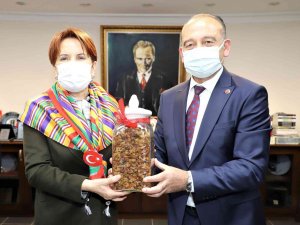 İ̇yi̇ Parti Genel Başkanı Akşener Başkan Akın’la Görüştü