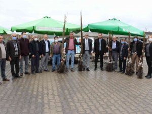Manisa’da Binlerce Fidan Üreticilere Dağıtıldı