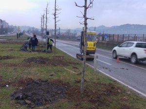 Ordu’da Yeşil Seferberlik