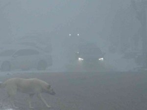 Kars’ta Ulaşıma Sis Engeli