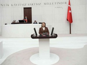 Milletvekili Aydemir: "Kadın Sporcularımız Tokyo Olimpiyatlarında Tarih Yazdılar"