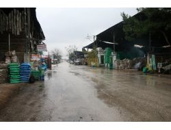 Mahrukatçıların Bedava Kömür İsyanı